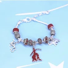 Delta Sigma Theta Charm Bracelet